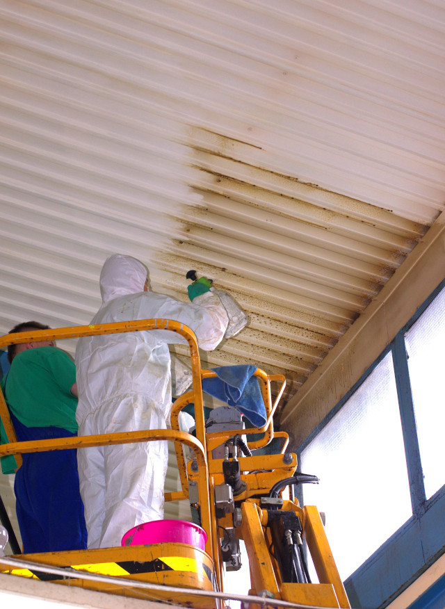 TREND HIGIÉNIA KFT.