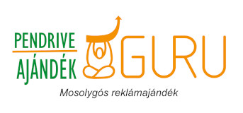 PendriveGuru Kft logo