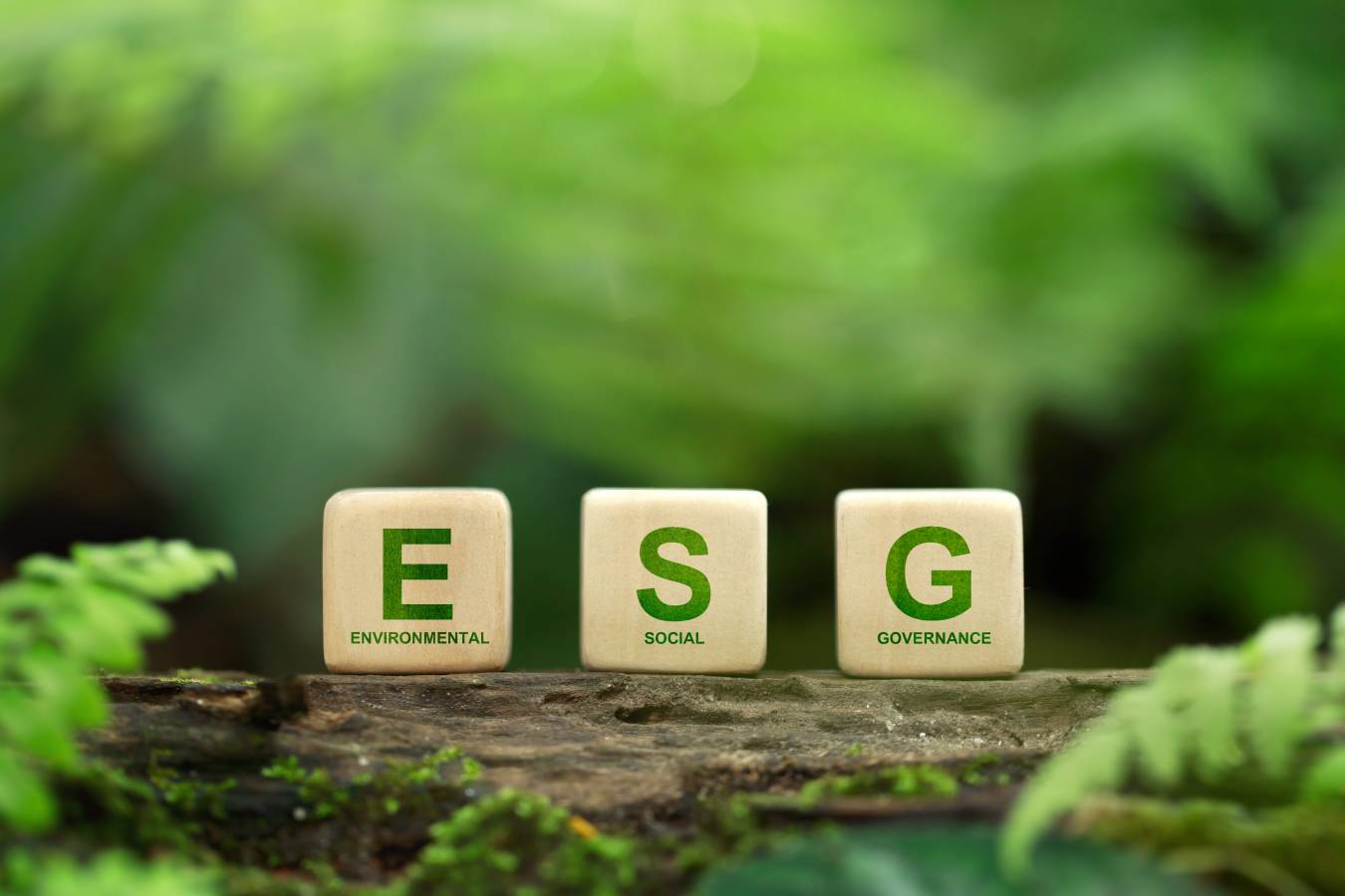 esg-concept-environmental-social-governance-sustainable-corporation-development-words-esg.jpg