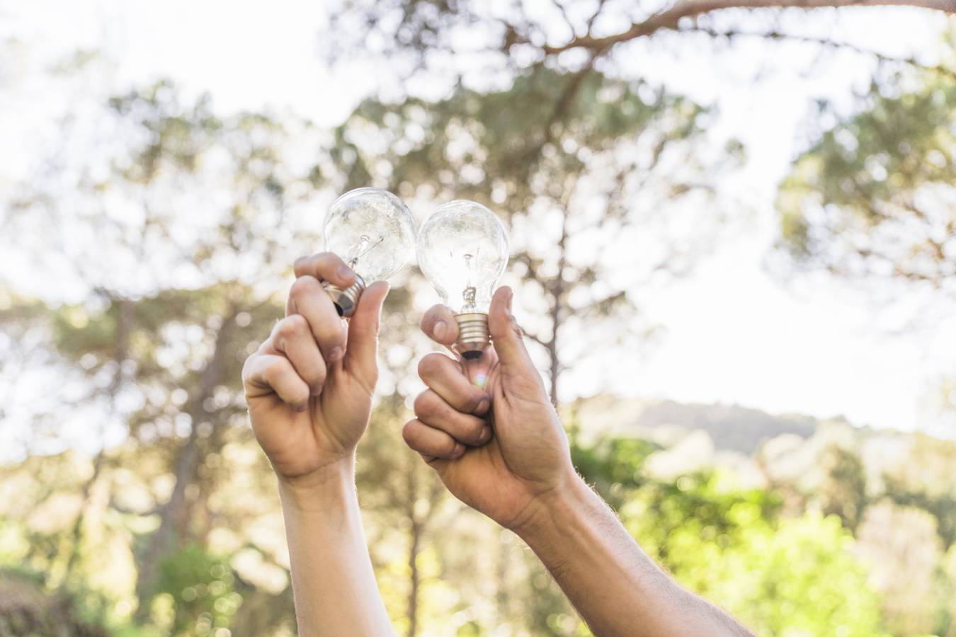 hands-holding-lamps-against-nature.jpg